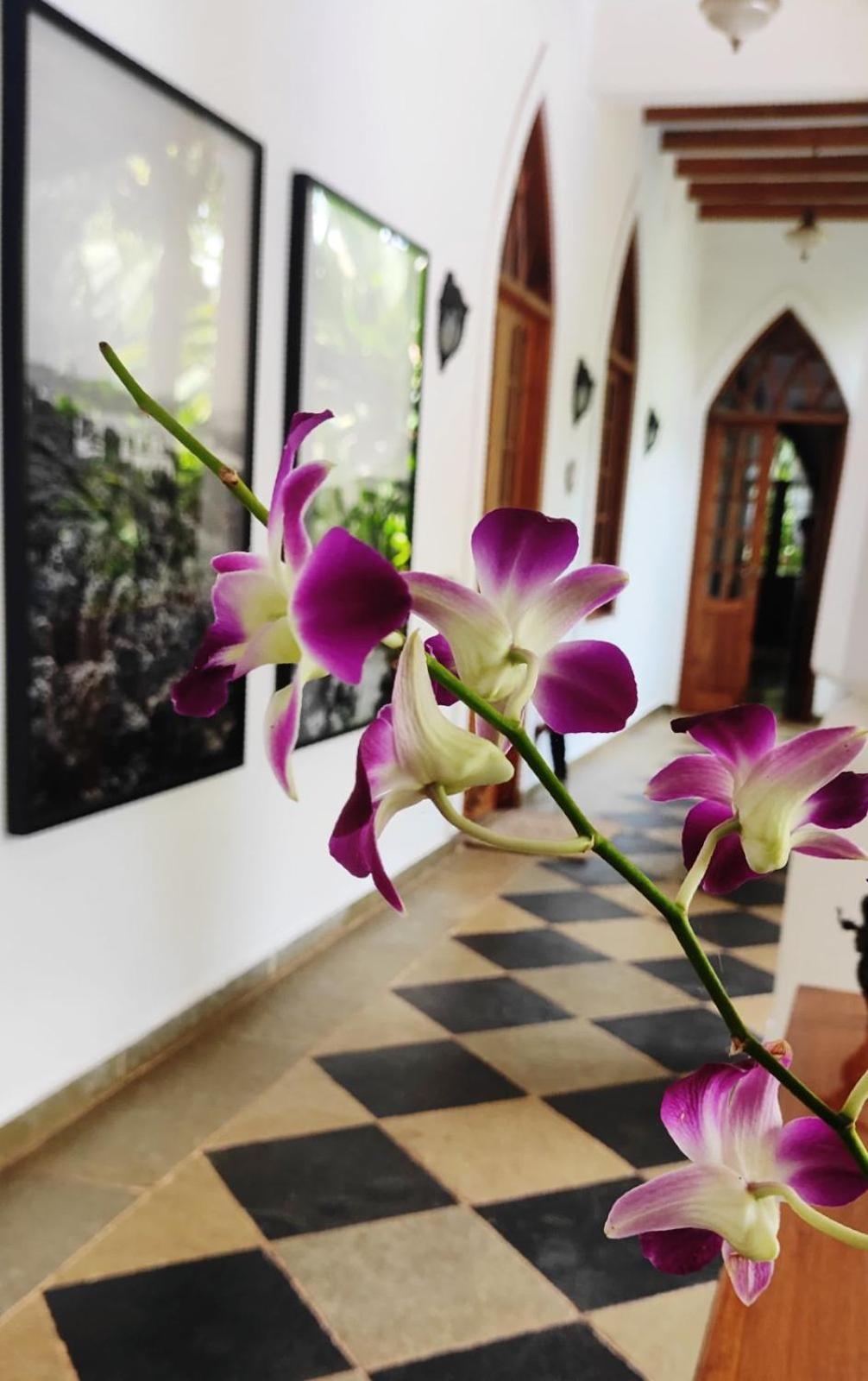 The Postcard Saligao Hotell Calangute Exteriör bild