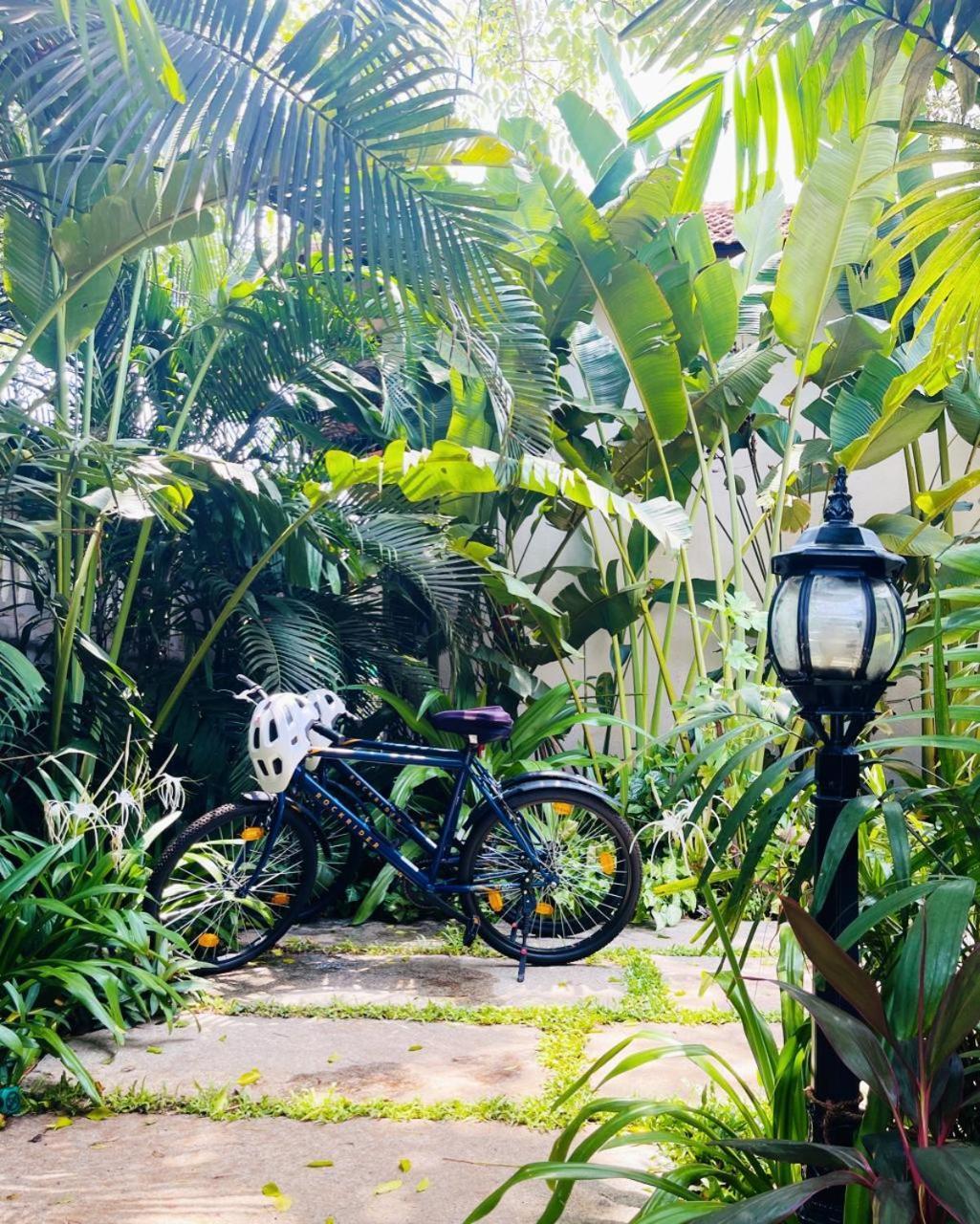 The Postcard Saligao Hotell Calangute Exteriör bild